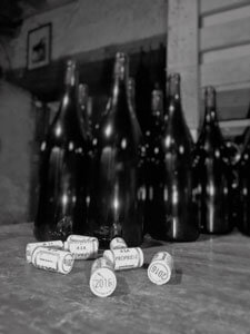 beaujolais bio de Julien Mathon