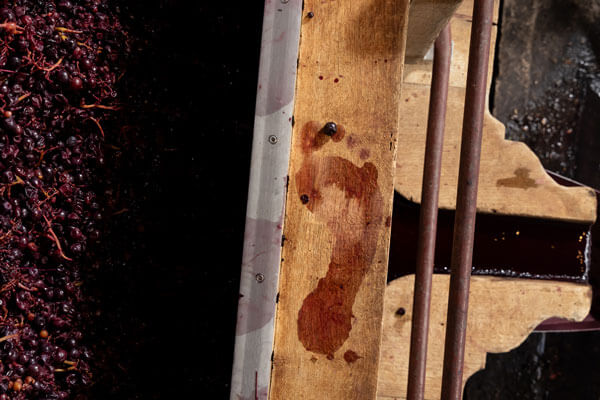 Julien Mathon Vigneron en Beaujolais Bio