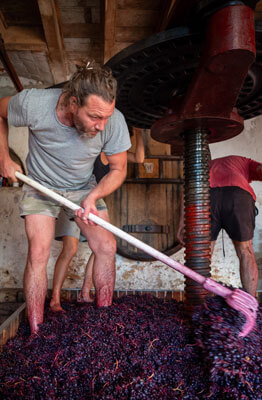 Julien Mathon Vigneron en Beaujolais Bio