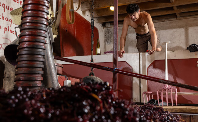 Julien Mathon Vigneron en Beaujolais Bio